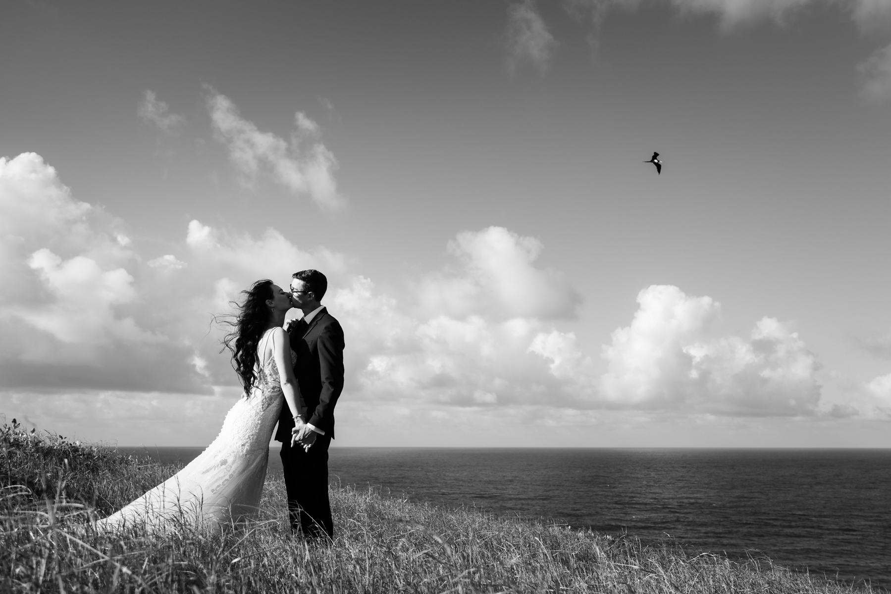 Black and white photo of bride and groom overlooking ocean in Hawaii with bird flying in sky.